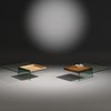 Glascouchtisch mit Holztablett SERVA von DREIECK DESIGN: SERVA 97 Floatglas - Tablett Eiche + Nussbaum
